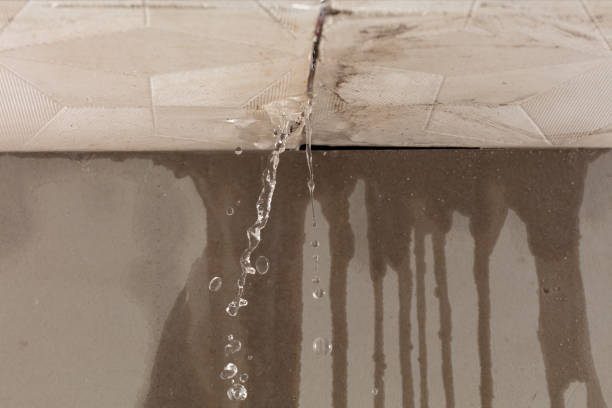 Professional Water Extraction technician working in Chapman Ranch, TX